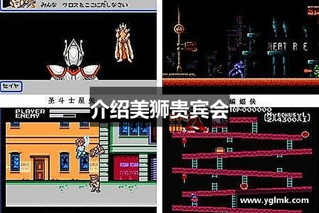 介绍美狮贵宾会